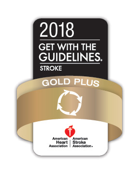 AHA Get with the Guidelines Stroke Gold Plus logo