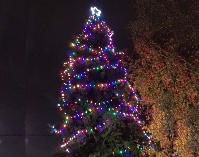 tree-of-lights-659x519-featured-image